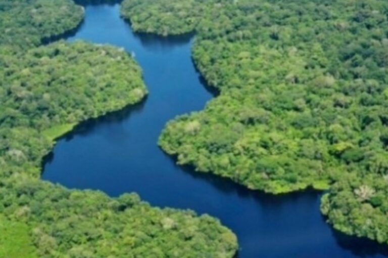 A Amazônia é a nossa salvação, por Ilona Szabó de Carvalho.