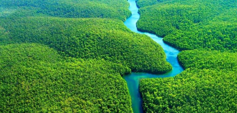 ‘Desenvolvimento’ predatório na Amazônia, por Márcia Castro.