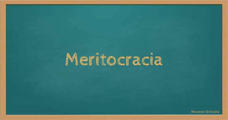 Duas facetas do sistema meritocrático, por Cida Bento.