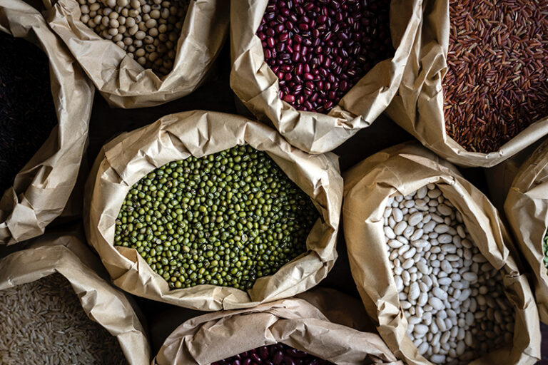 Emergência alimentar, por Nathalie Beghin.