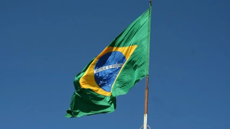 O Brasil e seus inimigos, por Silvio Almeida.