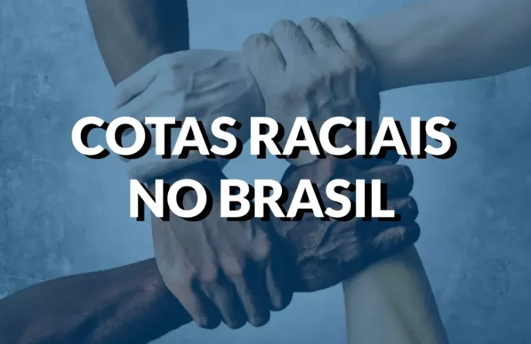 As cotas raciais e o Brasil: dez anos depois, por Silvio Almeida.