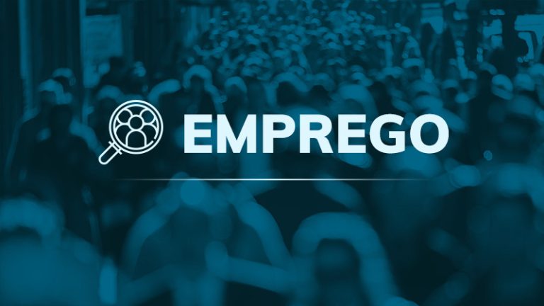 A proposta do Emprego Digno Garantido, por Ladislau Dowbor.
