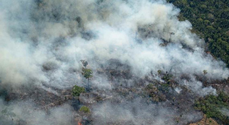 O PL da Devastação e a miopia climática, por Oscar Vilhena Vieira