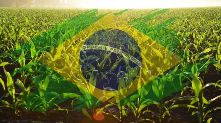 O agro não é pop: é blindado para pagar menos imposto, por Adriana Fernandes